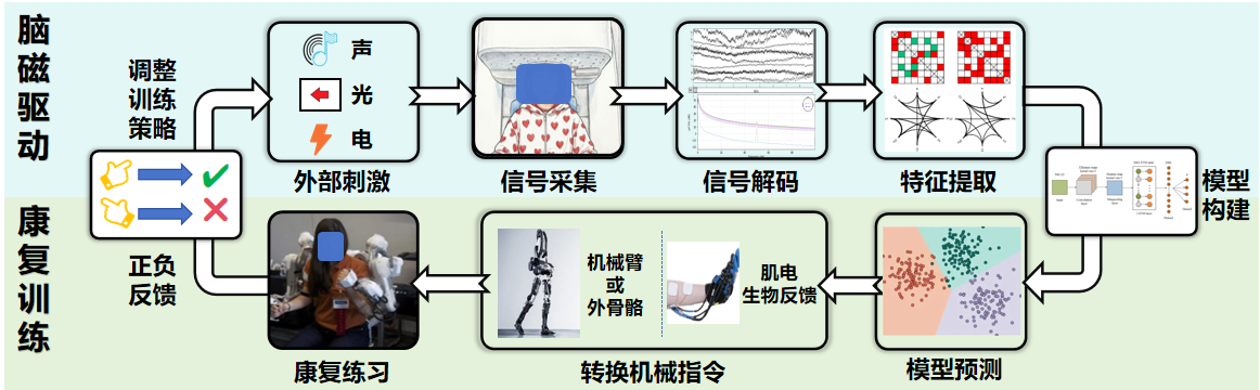 融合脑磁与脑电的稳态视觉诱发场脑机接口研究 · 脑机接口流程示意图