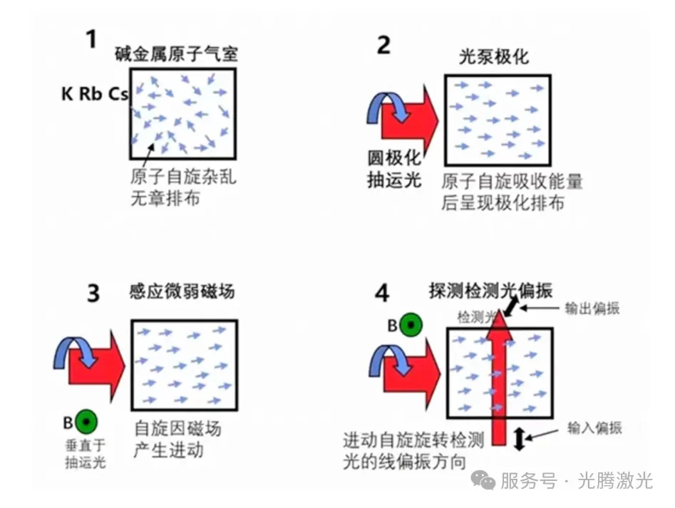 光腾进展 | 助力上海交通大学量子精密测量团队